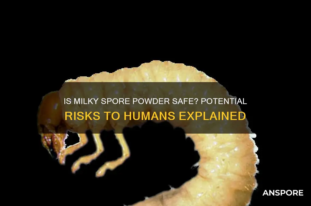 can milky spore powder be hazardous to human
