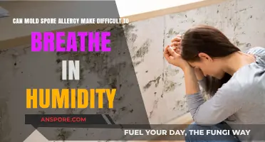 Mold Spore Allergies: Breathing Challenges in Humid Environments Explained