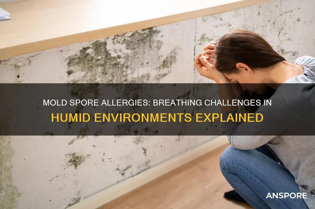 can mold spore allergy make difficult to breathe in humidity