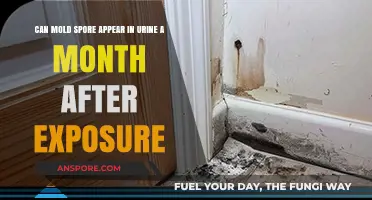 Can Mold Spores Appear in Urine After a Month of Exposure?