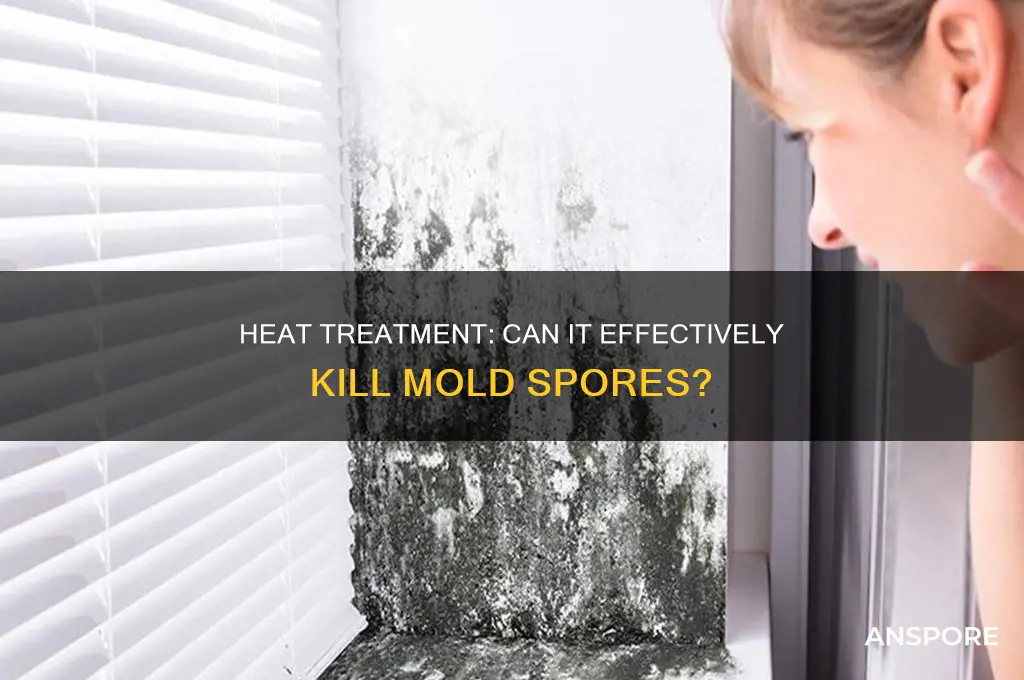 can mold spored be killed by heat