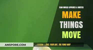 Mold Spores & Mites: Unseen Forces Behind Mysterious Movements?