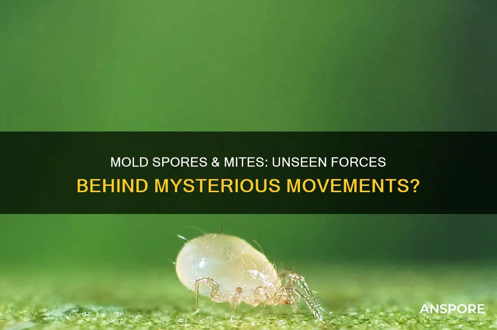 can mold spores & mites make things move