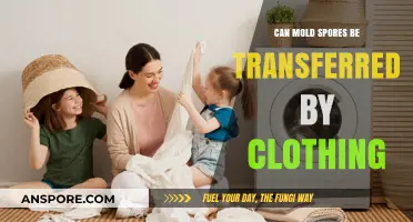 Can Mold Spores Hitchhike on Your Clothes? Uncovering the Truth