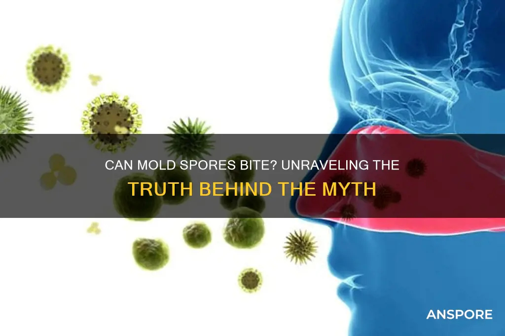 can mold spores bite