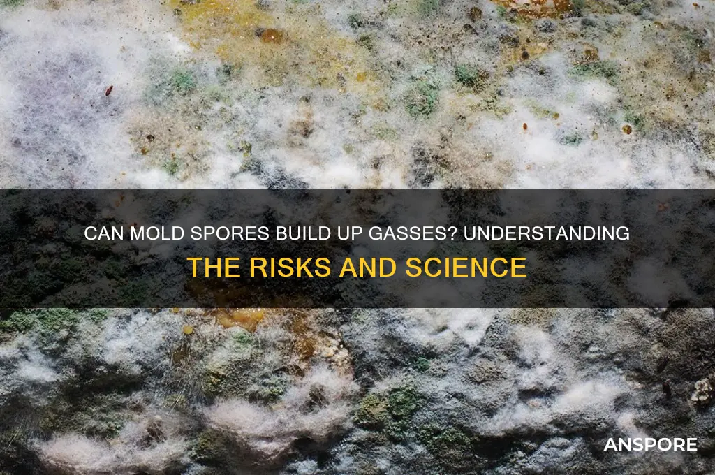 can mold spores build up gasses