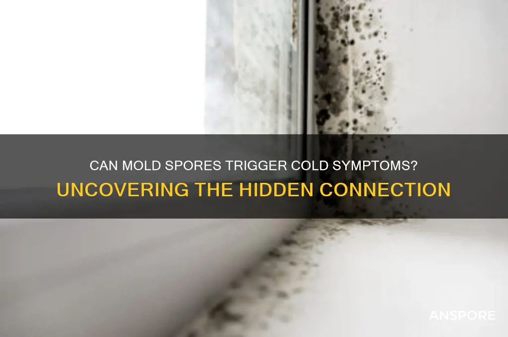 can mold spores cause a cold