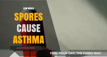 Mold Spores and Asthma: Uncovering the Hidden Triggers in Your Home