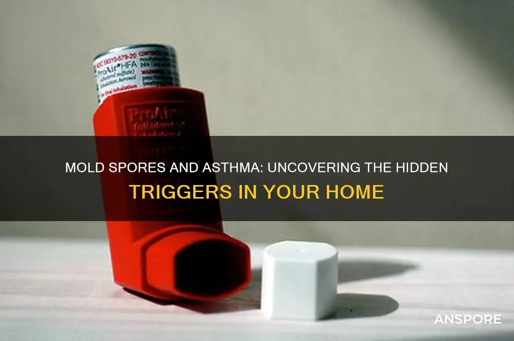 can mold spores cause asthma
