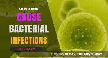 Mold Spores and Bacterial Infections: Unraveling the Hidden Health Risks