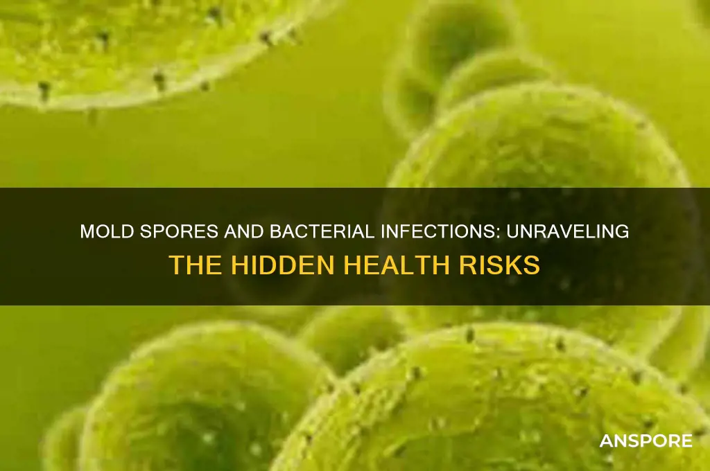 can mold spores cause bacterial infections