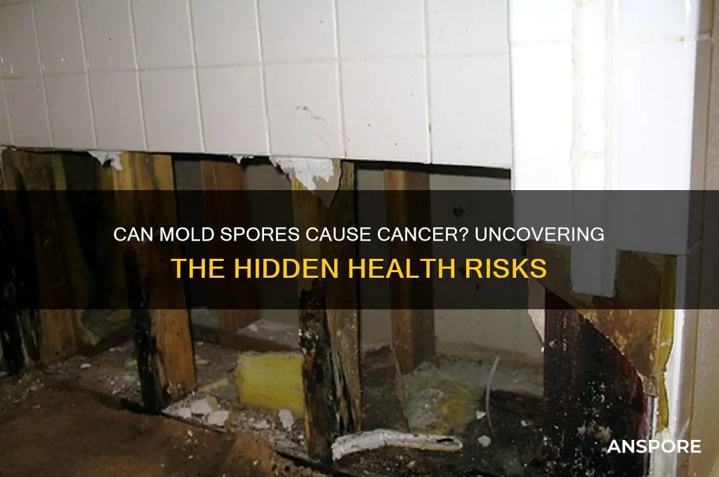 can mold spores cause cancer