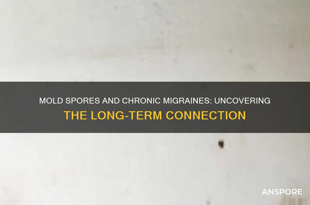 can mold spores cause chronic migraines for years