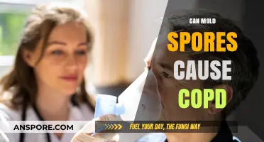Mold Spores and COPD: Uncovering the Hidden Respiratory Health Risks