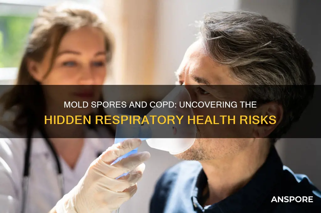 can mold spores cause copd