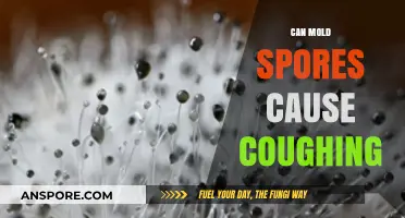 Can Mold Spores Trigger Persistent Coughing? Understanding the Link