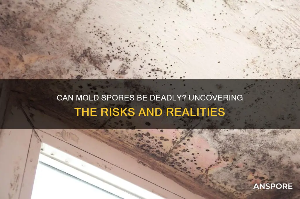 can mold spores cause death
