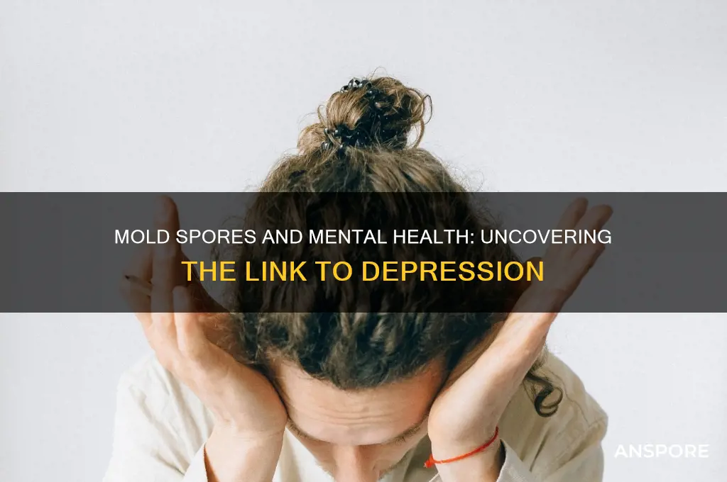 can mold spores cause depression