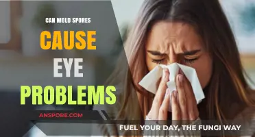 Mold Spores and Eye Health: Uncovering Potential Risks and Symptoms