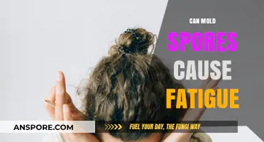 Mold Spores and Fatigue: Uncovering the Hidden Health Connection
