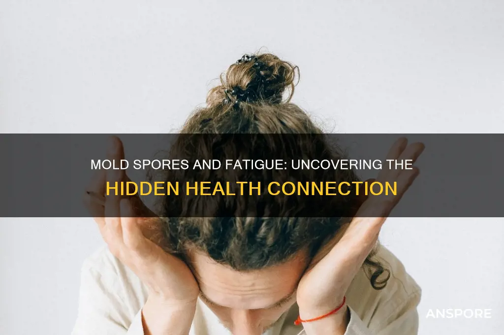 can mold spores cause fatigue