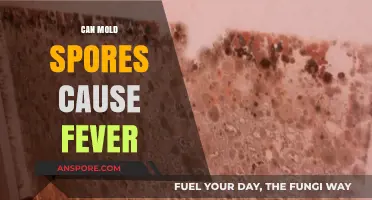 Can Mold Spores Trigger Fever? Understanding the Health Risks