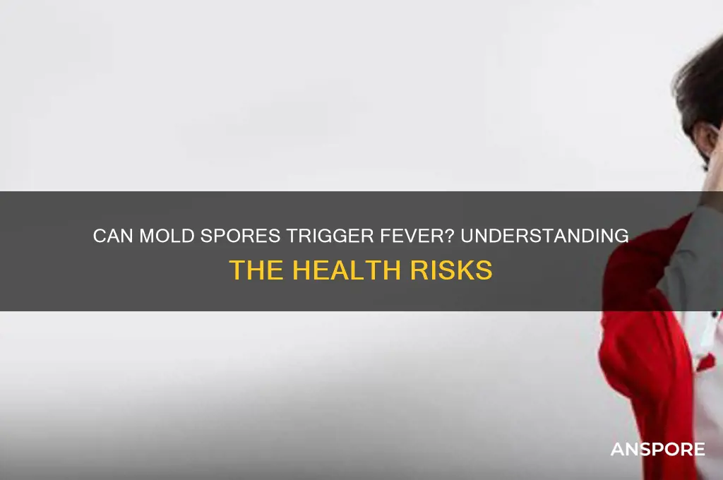 can mold spores cause fever