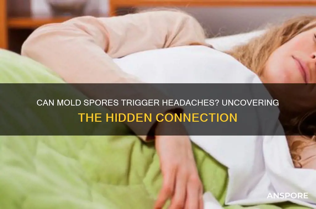 can mold spores cause headaches