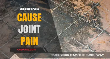 Mold Spores and Joint Pain: Uncovering the Hidden Connection