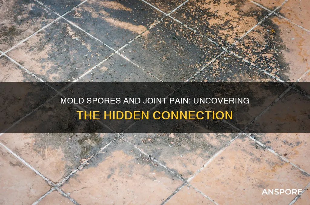 can mold spores cause joint pain