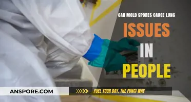 Mold Spores and Lung Health: Uncovering the Hidden Risks