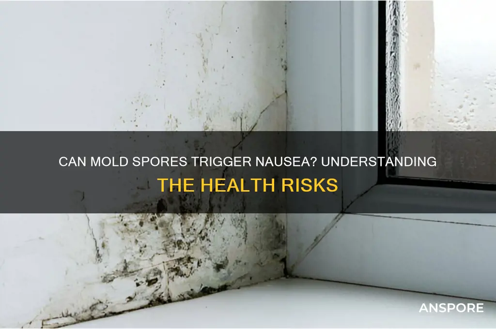 can mold spores cause nausea