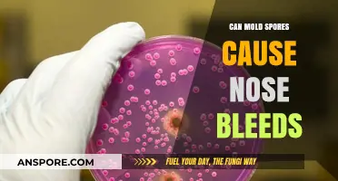 Mold Spores and Nosebleeds: Uncovering the Surprising Connection