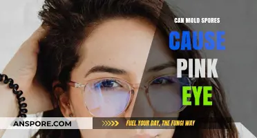 Can Mold Spores Trigger Pink Eye? Uncovering the Surprising Connection