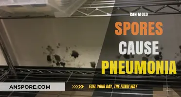 Can Mold Spores Lead to Pneumonia? Understanding the Risks and Prevention