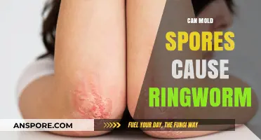 Can Mold Spores Trigger Ringworm? Debunking Myths and Facts