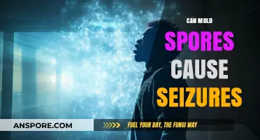 Mold Spores and Seizures: Uncovering the Hidden Health Risks