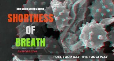 Can Mold Spores Trigger Shortness of Breath? Exploring the Link