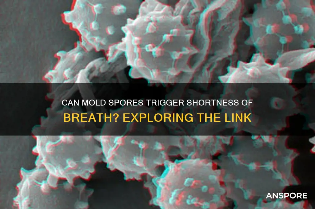 can mold spores cause shortness of breath