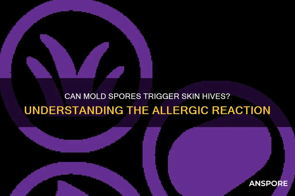 can mold spores cause skin hives