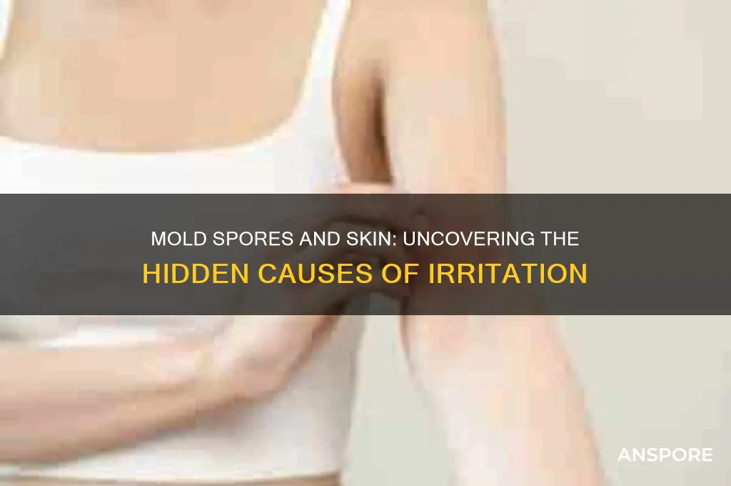 can mold spores cause skin problems