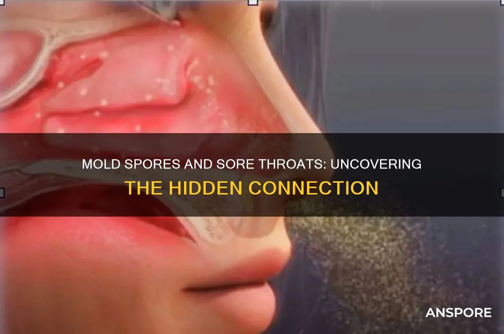 can mold spores cause sore throat