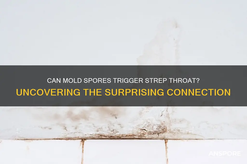 can mold spores cause strep throat