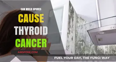 Mold Spores and Thyroid Cancer: Uncovering the Potential Link
