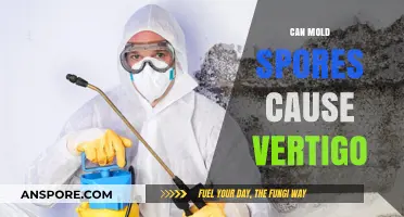 Mold Spores and Vertigo: Unraveling the Hidden Connection to Dizziness