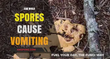 Can Mold Spores Trigger Vomiting? Understanding the Health Risks