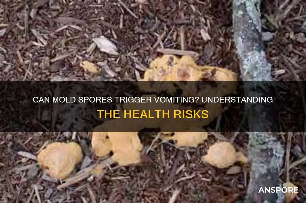 can mold spores cause vomiting