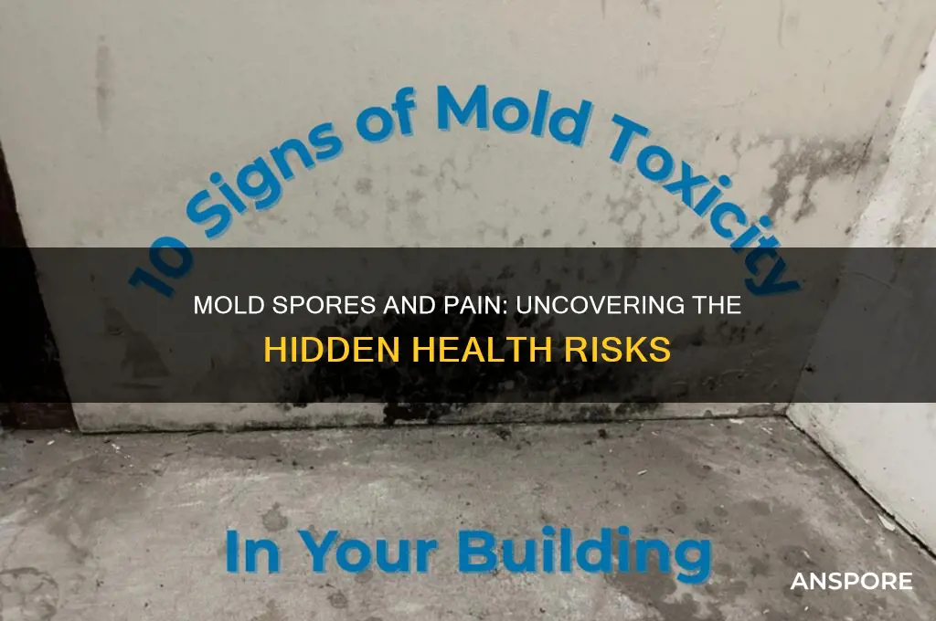 can mold spores cause you pain