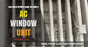 Can Mold Spores Enter Through Your AC Window Unit?