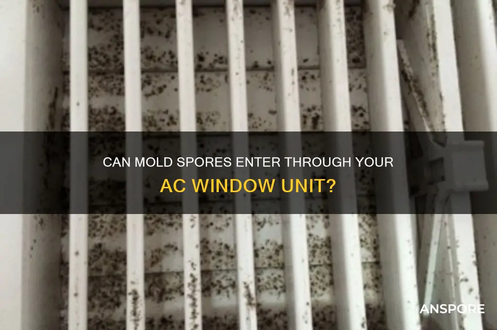 can mold spores come in from a ac window unit
